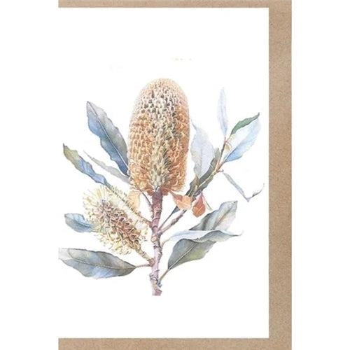Paper-Go-Round Paper-Go-Round Plantable Greeting Card - Native Bottlebrush & Tea Tree Seeds
