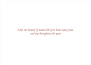 Peter Pauper Press Peter Pauper Press Deluxe Boxed Holiday Cards - Winter Evergreens