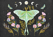 Peter Pauper Press Peter Pauper Press Note Card Set - Luna Moth