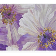 Peter Pauper Press Peter Pauper Press Note Card Set - Poppies in Bloom