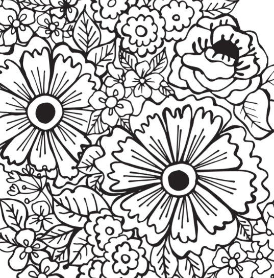 Peter Pauper Press Studio Series Colouring Book - Joyful Designs