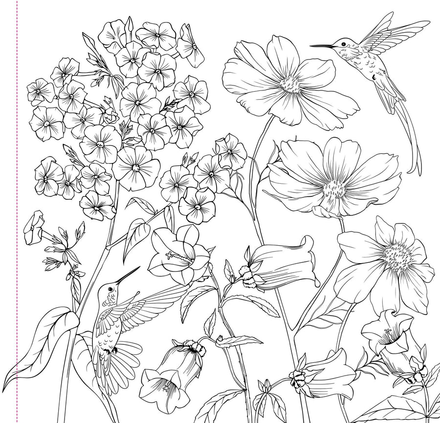 Peter Pauper Press Studio Series Colouring Book - Wildflowers