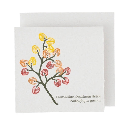 Plane Tree Studio Plane Tree Greeting Card - Native Flowers, Beech