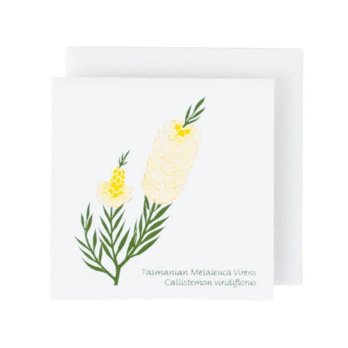 Plane Tree Studio Plane Tree Greeting Card - Native Flowers, Callistemon