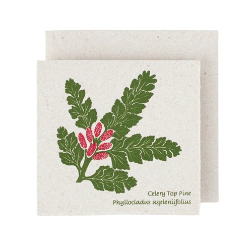Plane Tree Studio Plane Tree Greeting Card - Native Flowers, Celery Top Pine