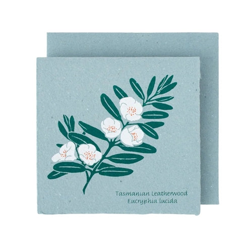 Plane Tree Studio Plane Tree Greeting Card - Native Flowers, Leatherwood