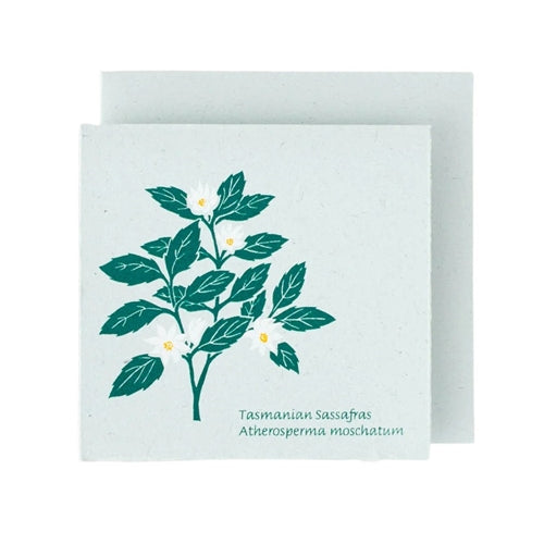 Plane Tree Studio Plane Tree Greeting Card - Native Flowers, Sassafras