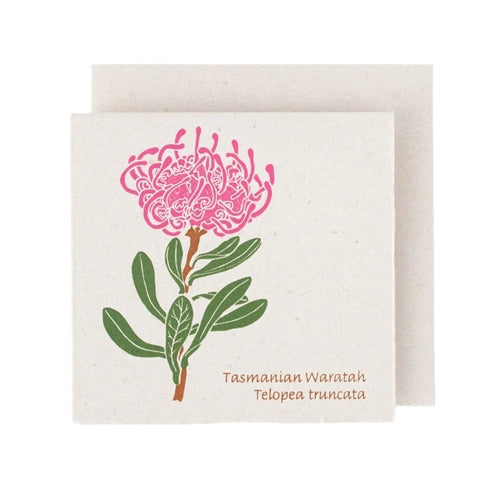 Plane Tree Studio Plane Tree Greeting Card - Native Flowers, Waratah