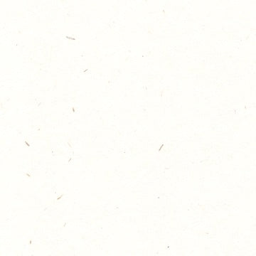 Renewal A3 (297 x 420mm) / Fibre White / 118gsm Renewal Hemp