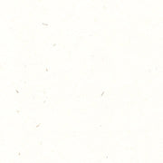 Renewal A3 (297 x 420mm) / Fibre White / 118gsm Renewal Hemp
