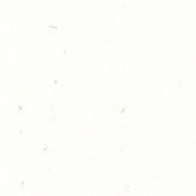 Renewal A3 (297 x 420mm) / Fibre White / 324gsm Renewal Hemp