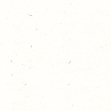 Renewal A3 (297 x 420mm) / Fibre White / 324gsm Renewal Hemp