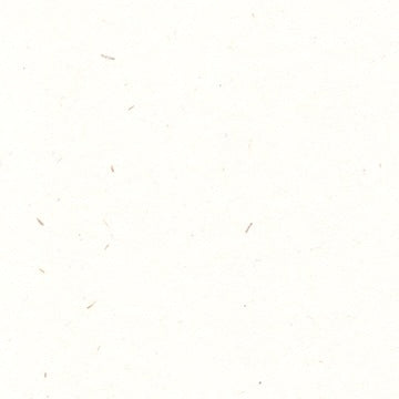 Renewal A4 (210 x 297mm) / Fibre White / 118gsm Renewal Hemp