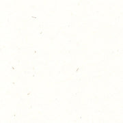 Renewal A4 (210 x 297mm) / Fibre White / 324gsm Renewal Hemp