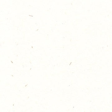 Renewal A4 (210 x 297mm) / Fibre White / 324gsm Renewal Hemp