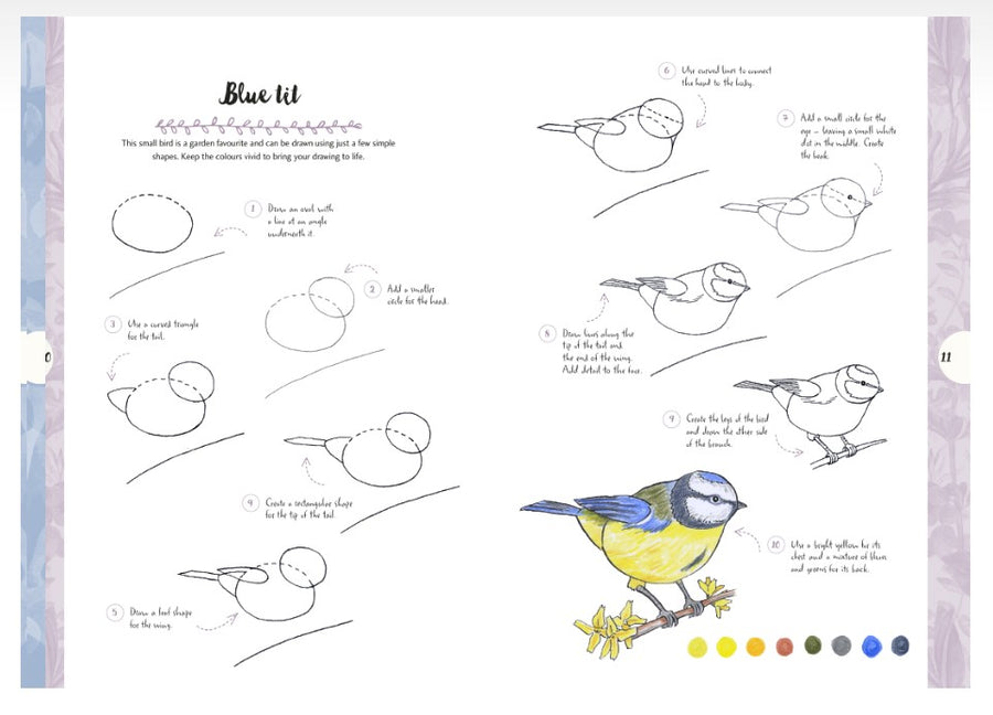 Search Press 10 Step Drawing - Nature