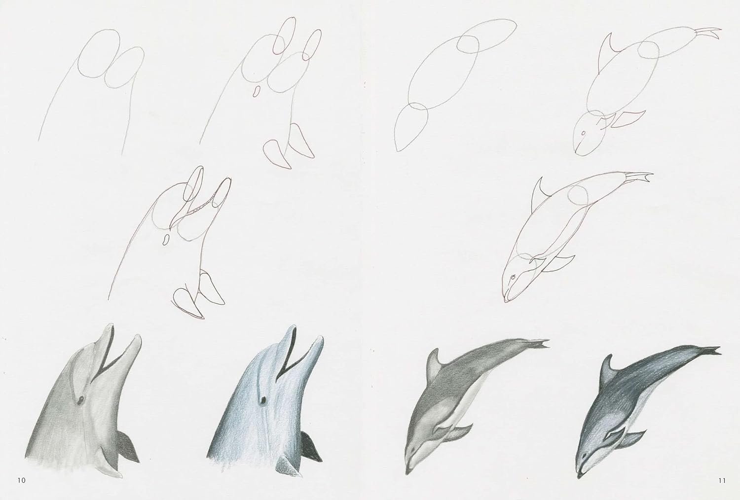 Search Press How to Draw - Sea Creatures