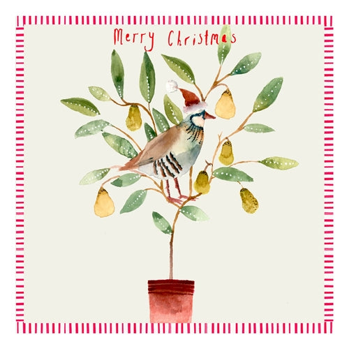 Sooshichacha Sooshichacha Christmas Card - Partridge In A Pear Tree