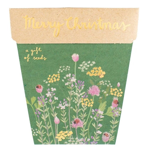 Sow n Sow Gift of Seeds Christmas Card - Herbs