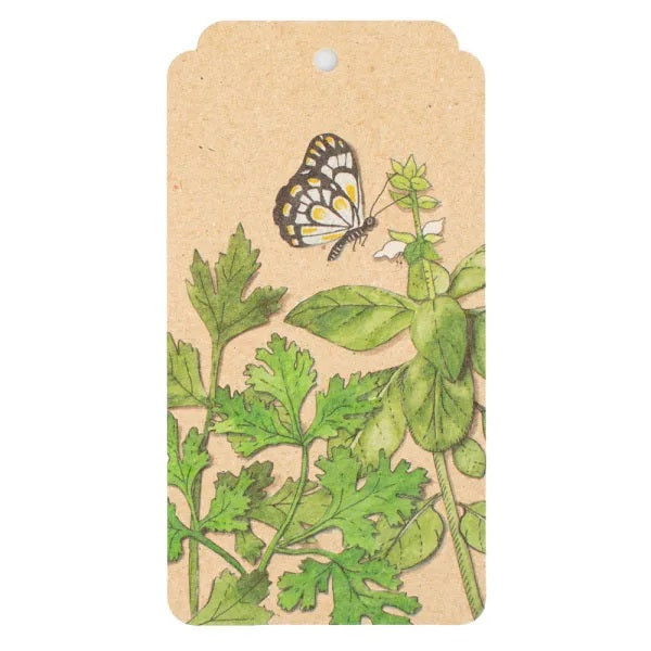 Sow n Sow Seeds Gift Tag - Trio of Herbs