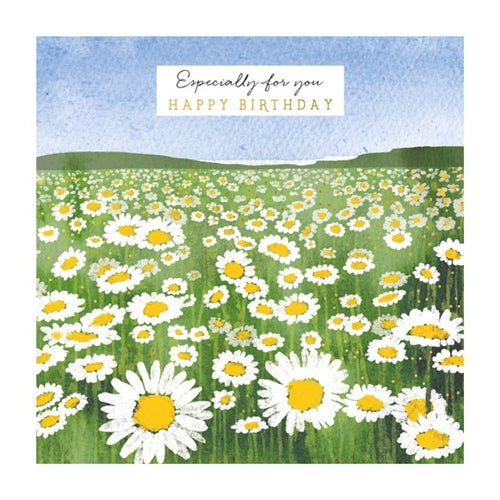 The Art File The Art File Birthday Card - Natural Phenomenon, Daisy Field