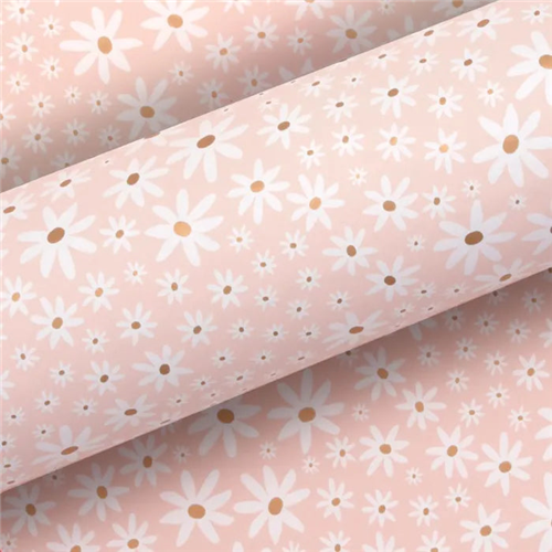Vandoros Vandoros Wrapping Paper - Daisy Chain, Champagne (approx 3 mtrs)