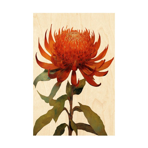 WOODHI Woodhi Postcard - Waratah