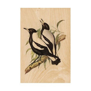 Woodhi Postcard - Magpies