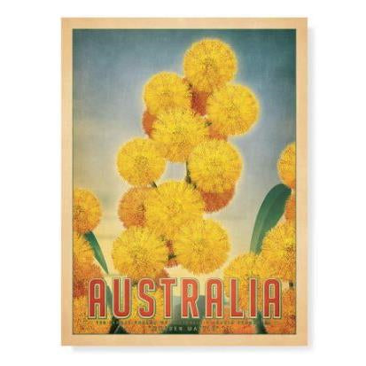 Harper & Charlie Postcard - Australia, Golden Wattle