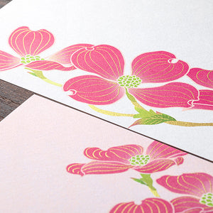 Midori Kami Letter Set - Paper Series - Spring, Magnolia Flowers