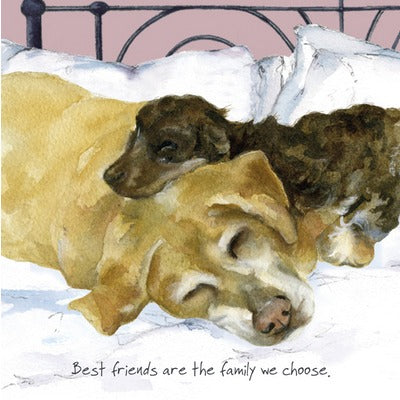 Little Dog Laughed Greeting Card - Dog Series Squares, Best Friends