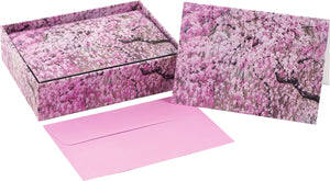 Note Card Set - Cherry Blossoms