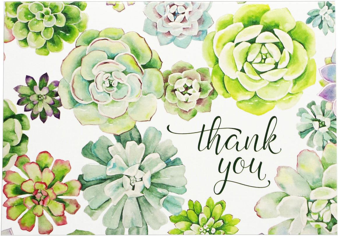 Thank You Card Set - Succulent Garden