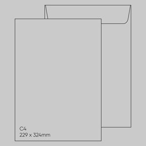 C4 Envelope (229 x 324mm) - Popticks Platinum Grey, Single
