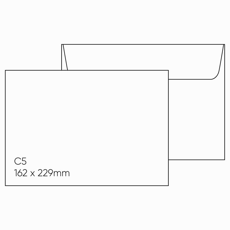 C5 Envelope (162 x 229mm) - Stephen Chilled White, Pack of 10