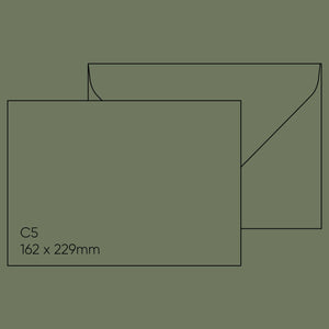 C5 Envelope (162 x 229mm) - Gmund Colors Matt 'Seedling', Single