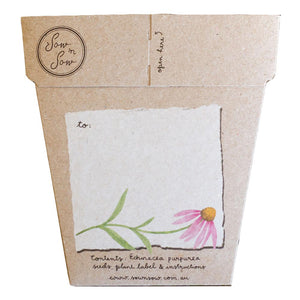 Gift of Seeds Card - Echinacea