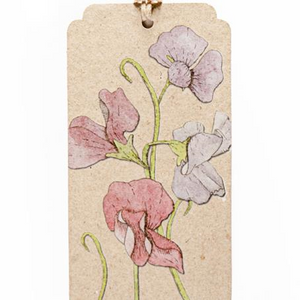 Seeds Gift Tag - Sweet Pea | Sow n Sow | Paperpoint Stationery South Melbourne
