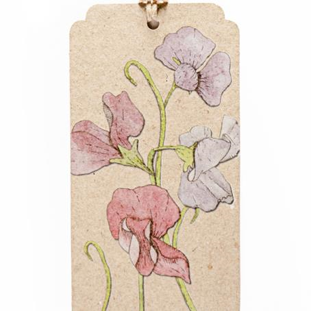 Seeds Gift Tag - Sweet Pea | Sow n Sow | Paperpoint Stationery South Melbourne