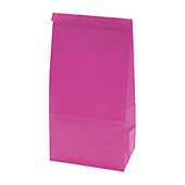 Paper Gift Bag - Small, Pink