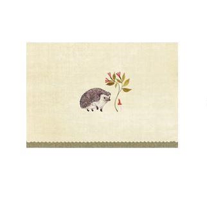 Note Card Set - Hedgehog | Peter Pauper Press | Paperpoint Stationery South Melbourne
