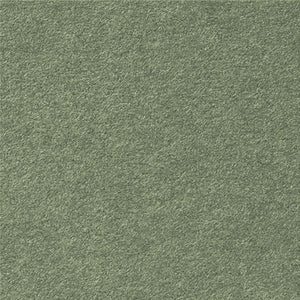 C6 Envelope (114x162mm) - Gmund Colors Matt 'Seedling', Single