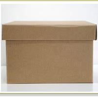 Barama Kraft Box - Medium (220x220x140mm)