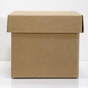 Barama Kraft Box - Small (130x130x110mm)