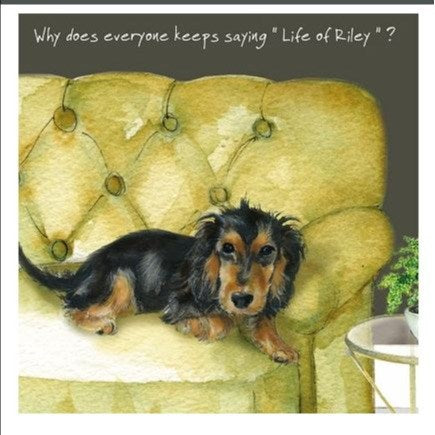 Little Dog Laughed Greeting Card - Dog Series Squares, Life of Riley