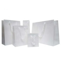 Gift Bag - Metro, White, "D" Large, 406x305x152mm