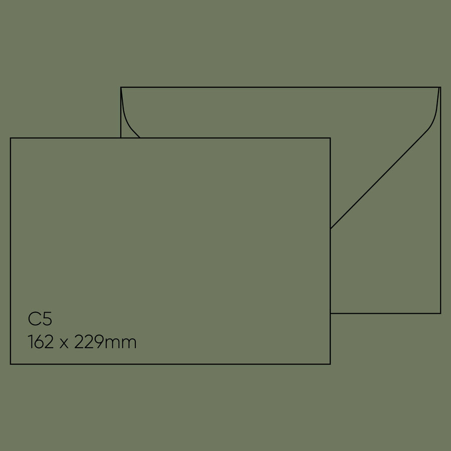 Gmund C5 Envelope (162 x 229mm) - Gmund Colors Matt 'Seedling', Single