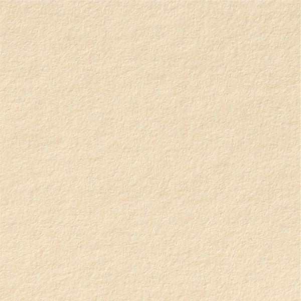 Gmund A4 (210 x 297mm) / Almond / 120gsm Gmund Colors Matt