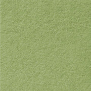 Gmund A4 (210 x 297mm) / Pear / 300gsm Gmund Colors Matt