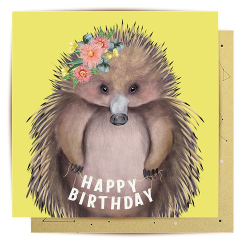 La La Land La La Land Greeting Card - Echidna Birthday